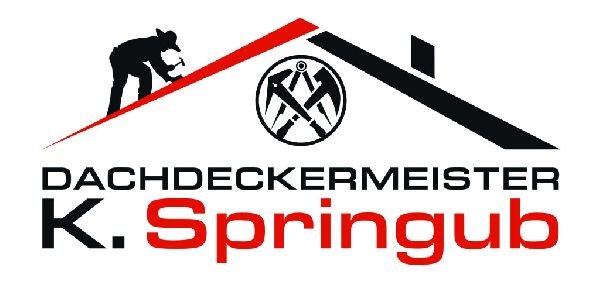 Dachdeckermeister Kevin Springub - 1