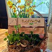 Dachsbräustüberl - GALLERY