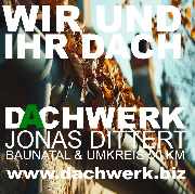 Dachwerk Jonas Dittert UG - wir und ihr dach laub.jpg