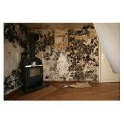 Däschlers Stuckateur- und Malerbetrieb GmbH & Co. KG - GALLERY