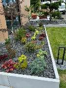 Daily Gartenpflege - 10