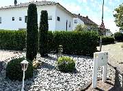 Daily Gartenpflege - 15