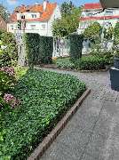 Daily Gartenpflege - 16