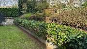 Daily Gartenpflege - 4
