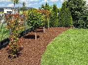 Daily Gartenpflege - 7