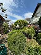 Daily Gartenpflege - 9