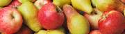 Daily Marmelade - 3