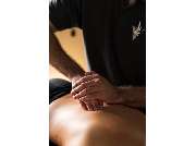 Dami GmbH - Vysio Verde - GALLERY