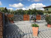 Dammann Kulturtechnik GmbH Garten- und Landschaftsgestaltung - GALLERY
