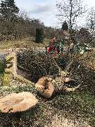 Dammann Kulturtechnik GmbH Garten- und Landschaftsgestaltung - GALLERY