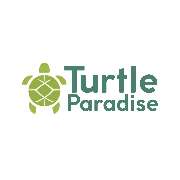 Daniel König Turtle Paradise - LOGO