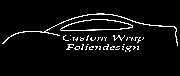 Logo - Daniel Salzmann Custom Wrap - Fahrzeugfolierung