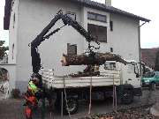 Daniels Baum- & Gartenservice - 16
