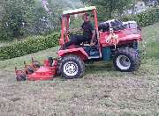 Daniels Baum- & Gartenservice - 17