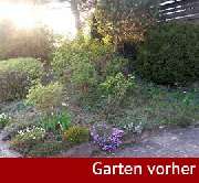 Daniels Baum- & Gartenservice - Garten-vorher