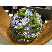 Das Blumenleben Inhaberin Sandra Hailfinger - GALLERY