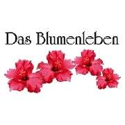 Das Blumenleben Inhaberin Sandra Hailfinger - LOGO