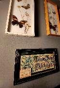 DAS BUNTE WUNDER Tattoostudio - 20250319_163514.jpg