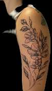 DAS BUNTE WUNDER Tattoostudio - Screenshot 2025-03-10 202454.png