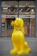 Das Futterhaus Essen-Westviertel - GALLERY