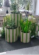 Das isses! by Katrin Schulz - GALLERY