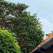 Das Landhotel 