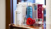Das Palmenwald Schwarzwaldhof, BW Signature Collection by Best Western - wellness