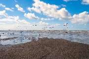 Das Wangerland - GALLERY