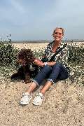 Das Wangerland - GALLERY