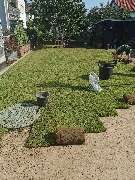 David Domenech-Jacobsen - GALLERY