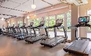 David Lloyd Bad Homburg - GALLERY