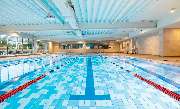 David Lloyd Bad Homburg - Innenpool
