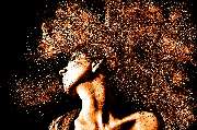 DaviDal Hair Design - GALLERY
