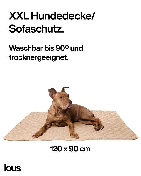 DBULLDOG GmbH - GALLERY