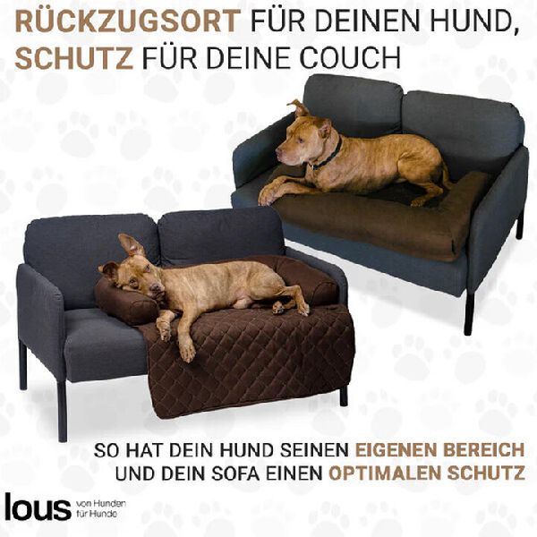DBULLDOG GmbH - GALLERY