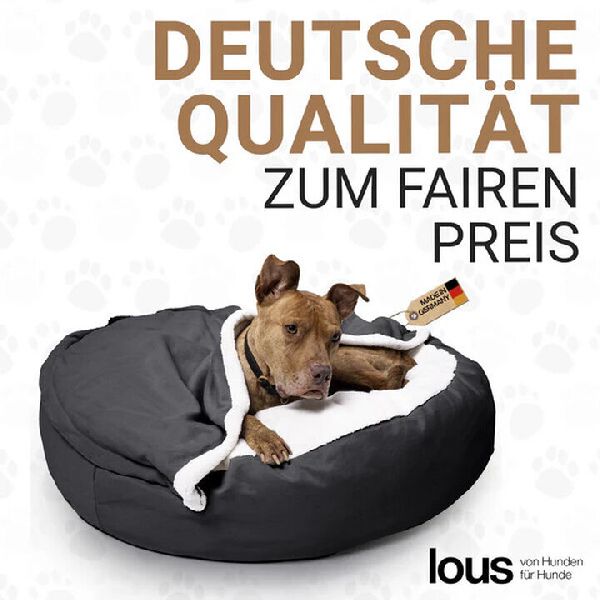 DBULLDOG GmbH - GALLERY