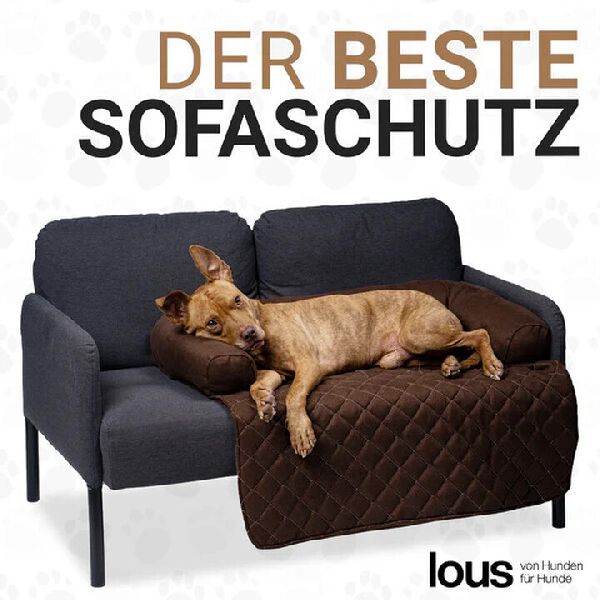 DBULLDOG GmbH - GALLERY