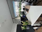 DBV Deutsche Beamtenversicherung Thomas Thiering in  Lingen - Agentur -  DBV Deutsche Beamtenversicherung Thomas Thiering in  Lingen - Versicherung in Lingen