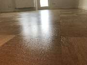 De Masi - IMG_4591.JPG