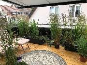 De Masi - TILI0475.JPG