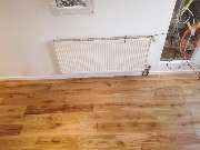 De Masi - VLKC7355.JPG