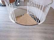 De Masi - WWJE6993.JPG