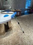 DE-Reinigung - Bauendreinigung Tiffany & CO.