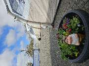 DECATHLON Bremerhaven - GALLERY