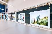 DECATHLON Karlsruhe-Durlach - GALLERY