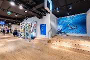 DECATHLON Stuttgart - Königstraße - GALLERY