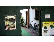 Dechant Gärtnerei und Floristik - GALLERY