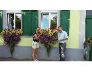 Dechant Gärtnerei und Floristik - GALLERY