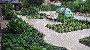 Dede Garten- und Landschaftsbau GmbH & Co KG - GALLERY