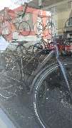 Dein Fahrrad - GALLERY